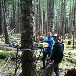 Tree Micro-Relief Scanner